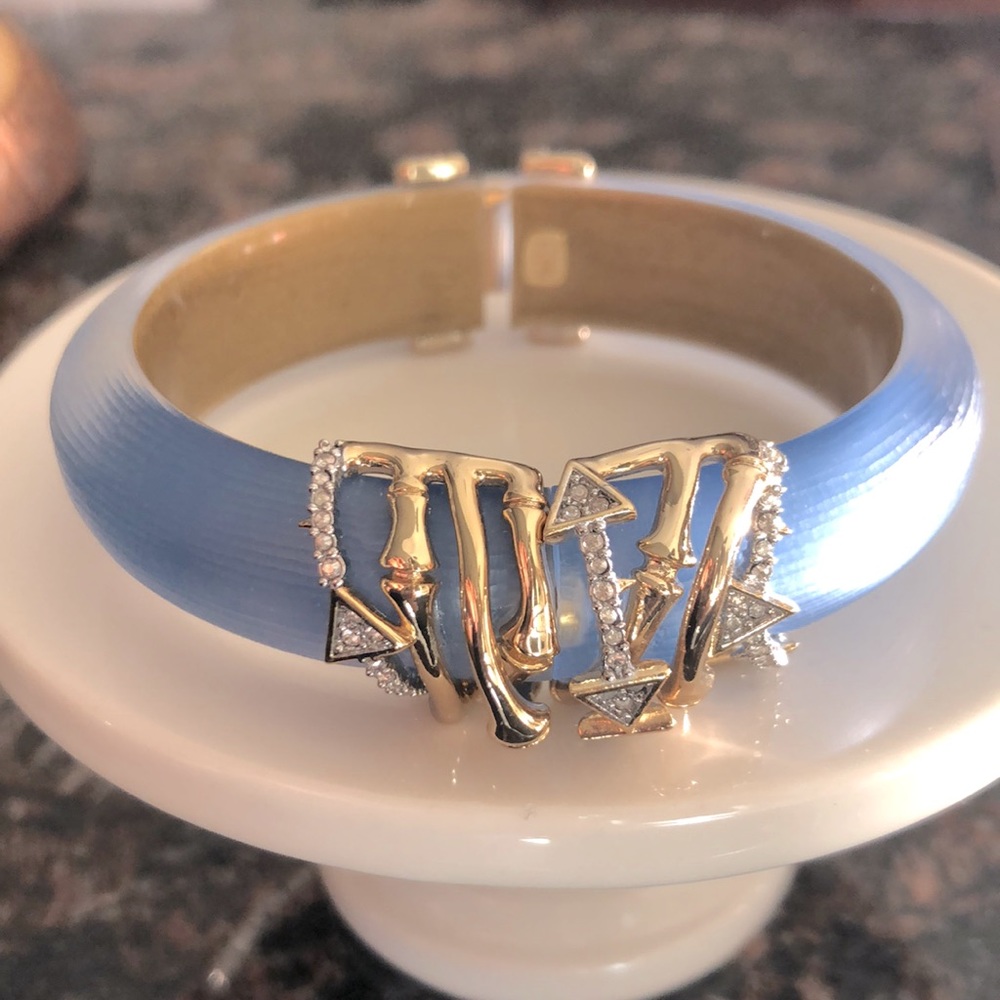 Alexis Bittar Lucite Bangle with Crystals